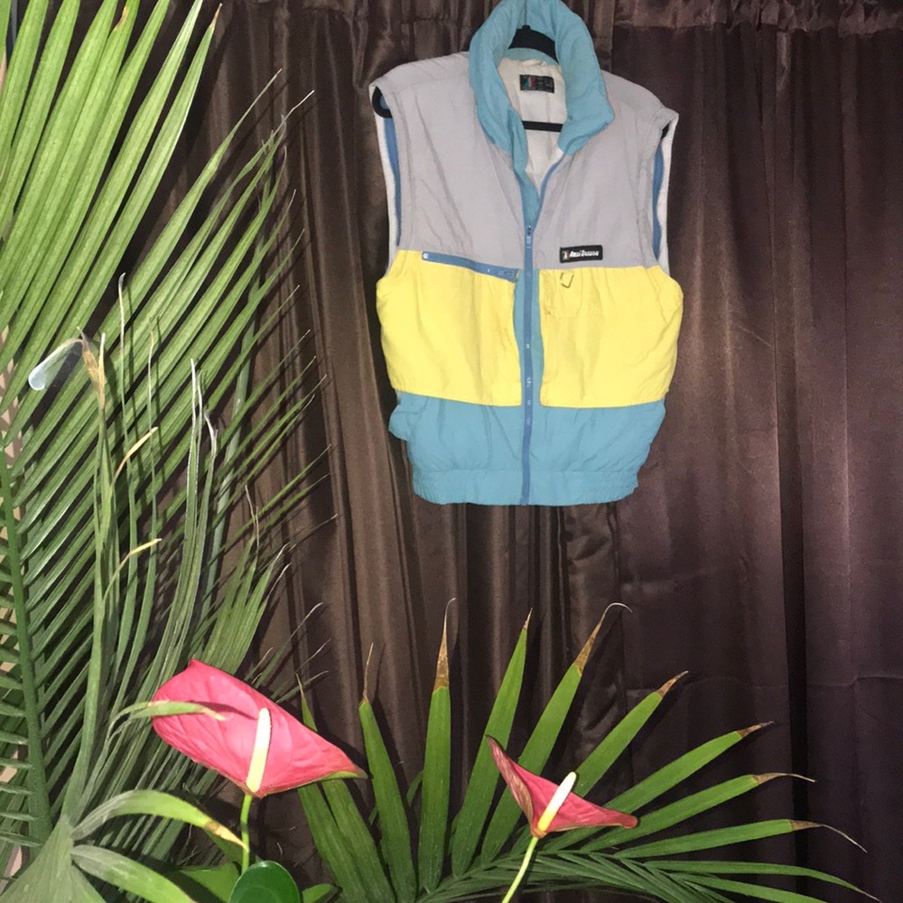 Ski Vest